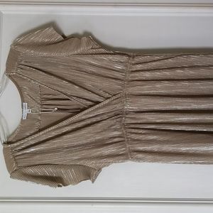 Athena Pleated Maxi Dress